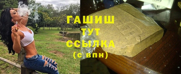 индика Абинск