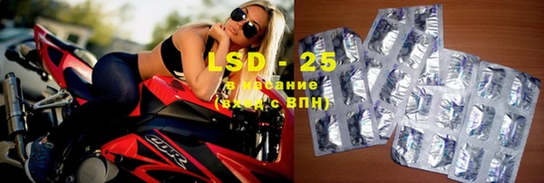 индика Абинск