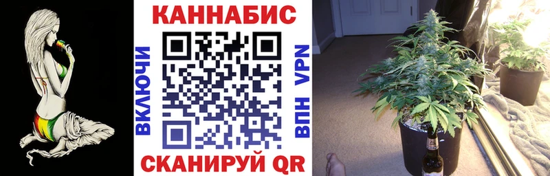 Конопля SATIVA & INDICA  Грозный 